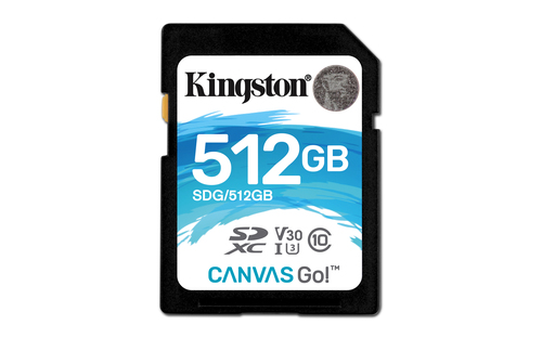 Kingston Technology SDG/512GB