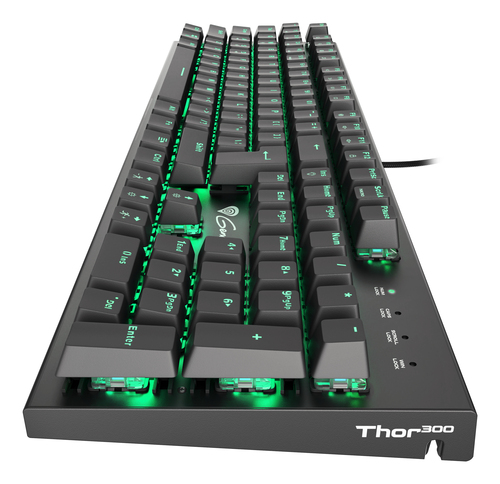 GENESIS Thor 300 – image 4