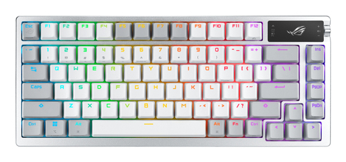ASUS 90MP031A-BKFA10