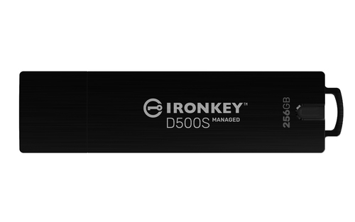Kingston Technology IKD500SM/256GB