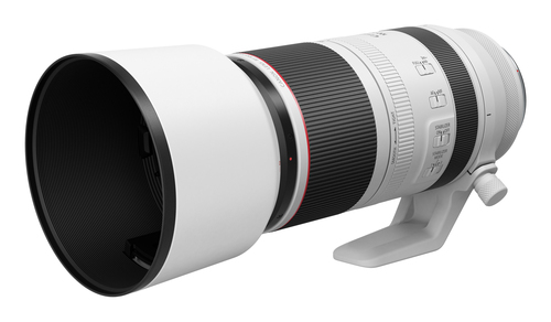 Canon RF 100-500mm f4.5-7.1L IS Usm Lens - image 5