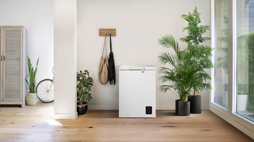 Gorenje G600 20019699 freezer Chest freezer Freestanding – image 5