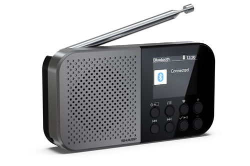 Sharp DR-P520 Personal Digital Grey – image 3