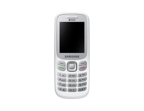 Samsung Metro 313