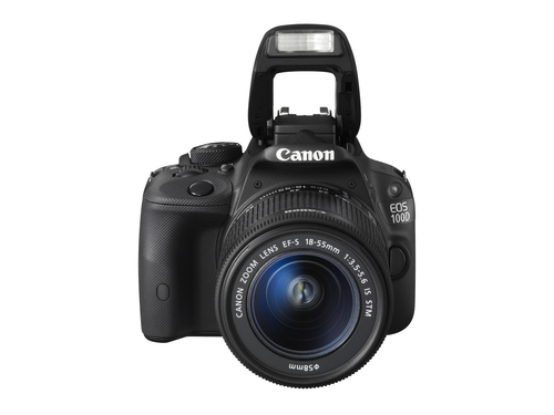 Canon 100D + EF-S 18-55mm f/3.5-5.6 IS STM + EF 75-300mm f/4-5.6 III – image 7