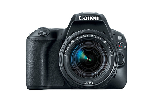 Canon Rebel SL2 + EF-S 18-55mm f/4-5.6