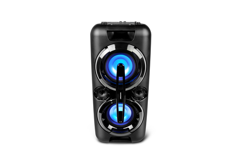 MEDION P67013 (MD 43438) Stereo portable speaker Black 440 W