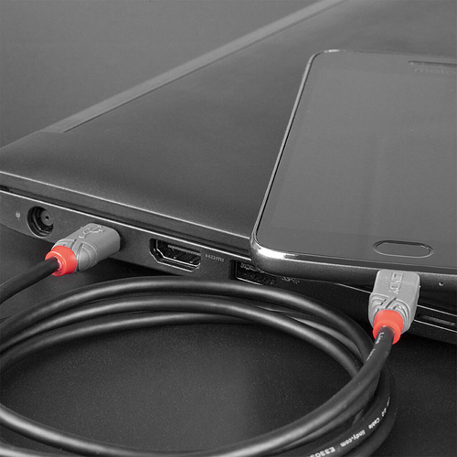 Lindy USB 2.0 Kabel Type C/Micro-B Anthra Line M/M 0.5m, afbeelding 3