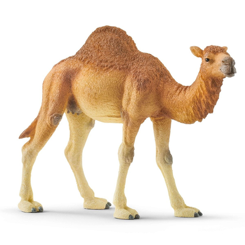 Schleich Wild Life - Dromedaris speelfiguur