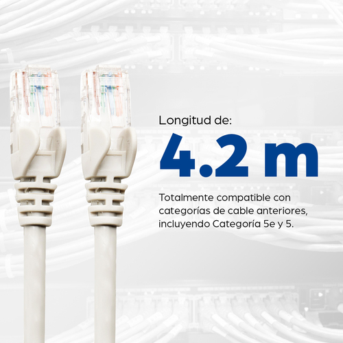 Cable de Red INTELLINET 343732