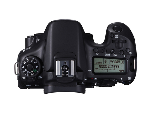 Canon 70D + Tamron 18-400mm F/3.5-6.3 Di II VC HLD – image 8