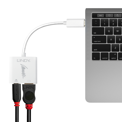Lindy 43196 USB graphics adapter