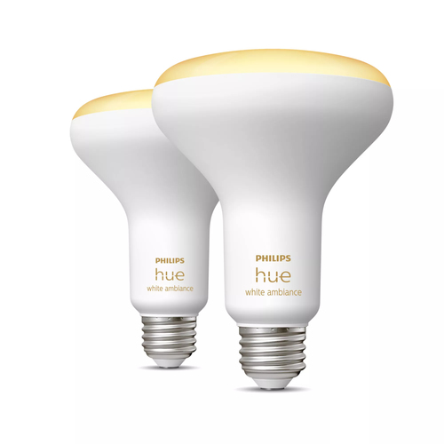 HUE WA BR30 2PK W BLUE TOOTH