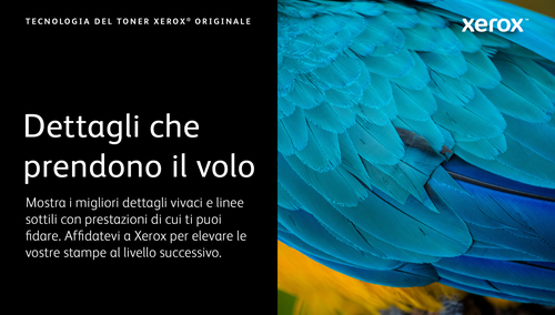 Xerox 006R04670 – Toner nero originale