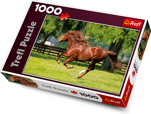 Trefl 10201 dėlionė 1000 vnt Gyvūnai