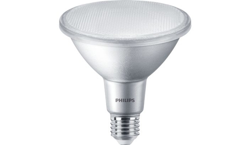 Philips MASTER LED 44330300 LED лампа Теплый белый 2700 K 13 W E27 F