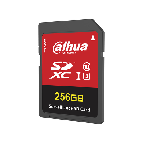 Dahua Technology SD-H100-256GB UHS-I Class 10
