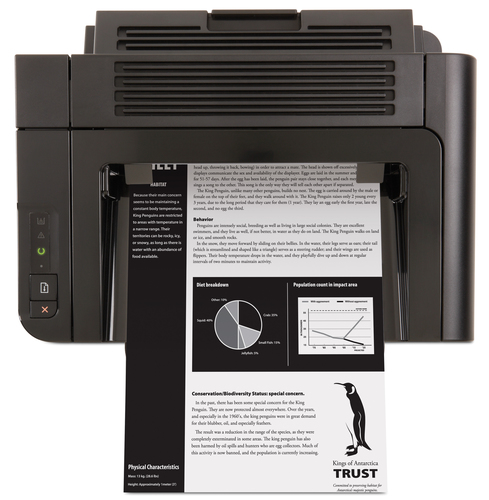 HP Pro P1606dn – image 9