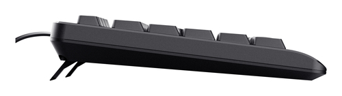 Trust 24639 keyboard Office USB No US English Black – image 4
