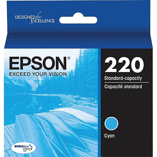 Epson T220220-S product photo