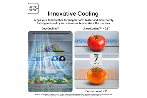 LG GBFSJ10DEP fridge-freezer Freestanding – image 5