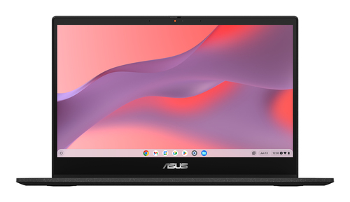 ASUS Chromebook Flip CM1402FM2A-EC0290, afbeelding 2