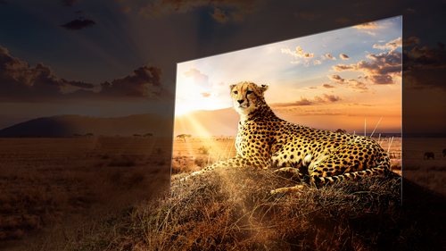 Hisense 65A9HTUK TV 165.1 cm (65") 4K Ultra HD Smart TV Wi-Fi Silver – image 3