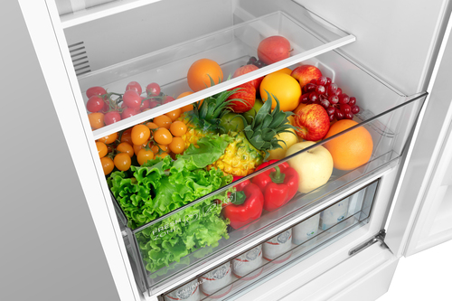 TCL RP456BWE0NE combi-fridge Freestanding – image 6