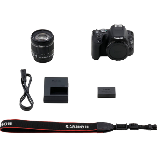Canon 200D + EF-S 18-55mm f/4-5.6 IS STM – image 8