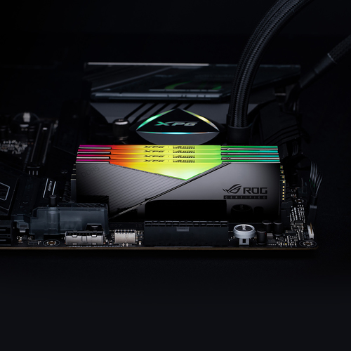 Memorias RAM ADATA LANCER RGB ROG