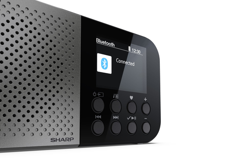 Sharp DR-P520 Personal Digital Grey – image 4