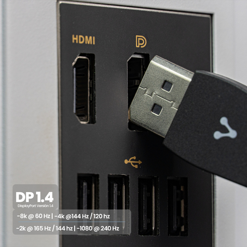Cable DisplayPort VORAGO Cab-309