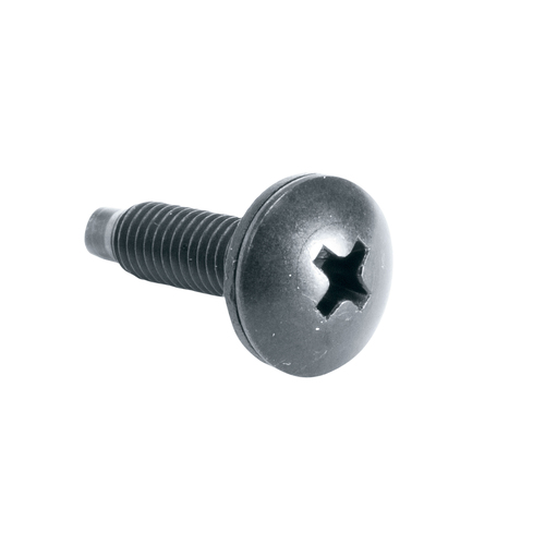 25PC 10-32 RACK SCREWS W/