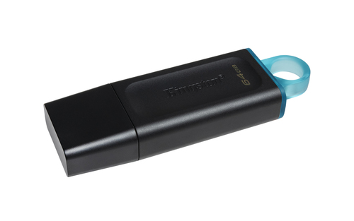 Memoria USB Kingston Technology DTX/64GB
