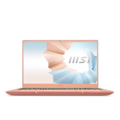 MSI 14 B11MO-079XES