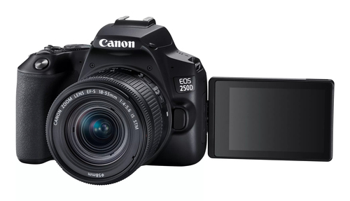 Canon 250D + 18-55mm IS STM – image 5
