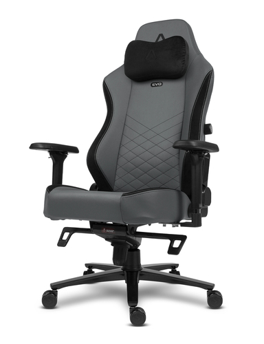 Alpha Gamer Alegra EVO Silla para videojuegos universal Asiento acolchado Gris