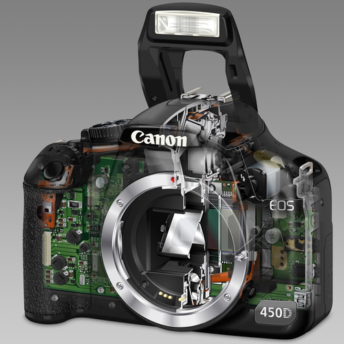Canon 450D + EF-S 17-85mm + M4G – image 4