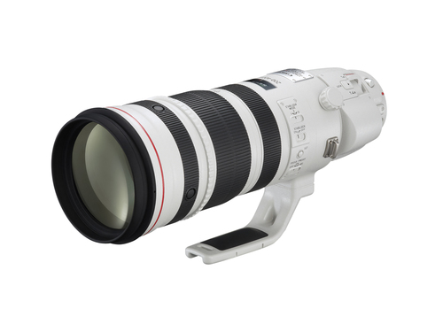 Canon EF 200-400mm f/4L IS USM Extender 1.4X