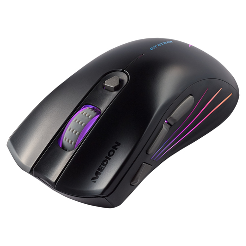 ERAZER Supporter P12 – image 2