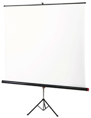 Braun 13000 projection screen 1:1
