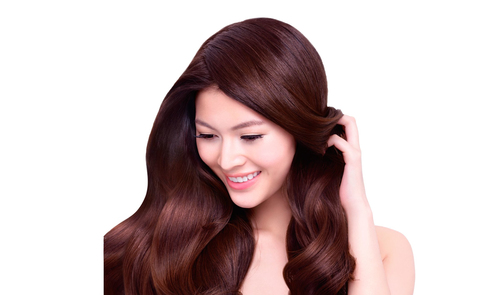 Philips SmartCare BHC201/01 hair dryer