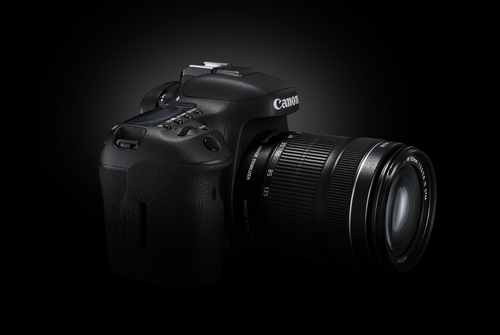 Canon 7D Mark II + EF-S 18-135mm IS STM – image 7