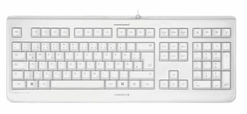 CHERRY JK-IP1068PN-0 клавиатура Универсальная USB QWERTY Северные страны Серый, Белый