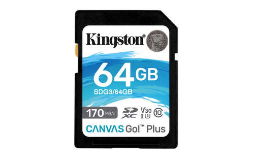 Memoria SD Kingston Technology SDG3/64GB