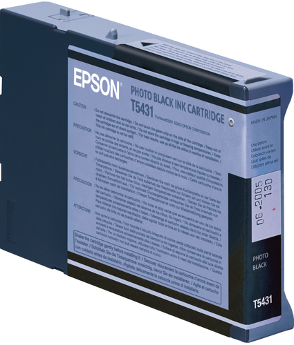 Epson Singlepack Photo Black T543100