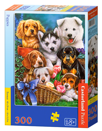 Castorland Puppies 300 pcs Pusle 300 tk Animals