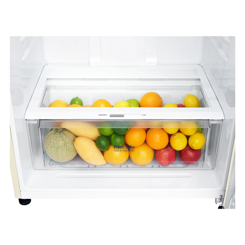 LG GTB744SECV fridge-freezer Freestanding – image 9