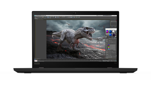 FR TOPSELLER THINKPAD P53S I7 1.8G 8GB 256GB SSD 15.6IN W10P64