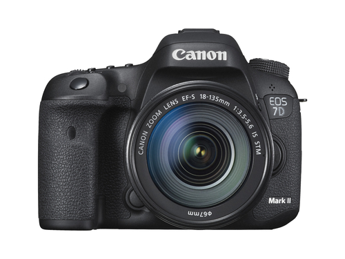 Canon 7D Mark II + EF-S 18-135mm IS STM – image 9